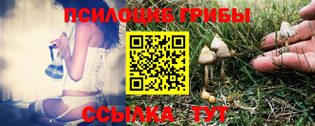 Псилоцибиновые грибы мухоморы Губаха
