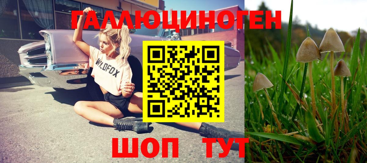 Губаха  Галлюциногенные грибы Magic Shrooms  Вход с VPN  Галлюциногенные грибы MAGIC MUSHROOMS 